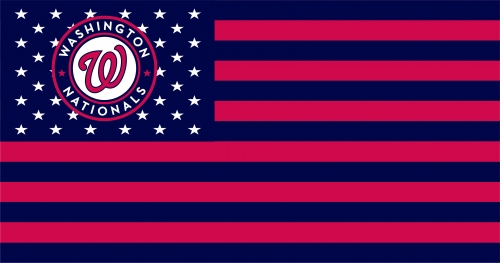 Washington Nationals Flag001 logo custom vinyl decal