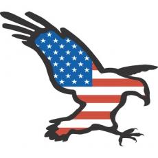 USA Logo 04 custom vinyl decal