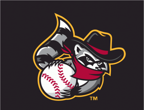 Quad Cities River Bandits 2008-2013 Cap Logo 3 heat sticker