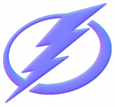 Tampa Bay Lightning Colorful Embossed Logo heat sticker