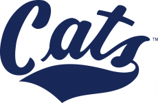 Montana State Bobcats 2004-Pres Wordmark Logo heat sticker