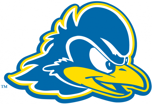 Delaware Blue Hens 2009-Pres Secondary Logo custom vinyl decal