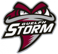 Guelph Storm 2018 19-Pres Alternate Logo heat sticker
