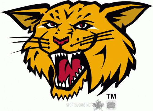 Moncton Wildcats 2003 04-2008 09 Alternate Logo custom vinyl decal