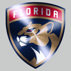 Florida Panthers Stainless steel logo heat sticker