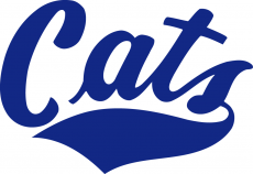 Montana State Bobcats 1982-2004 Wordmark Logo custom vinyl decal