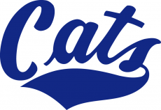 Montana State Bobcats 1982-2004 Wordmark Logo heat sticker