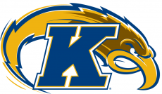 Kent State Golden Flashes 2000-Pres Alternate Logo heat sticker