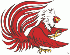 Jacksonville State Gamecocks 1998-2005 Primary Logo heat sticker