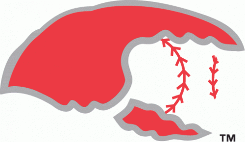 Hickory Crawdads 1993-2015 Secondary Logo heat sticker