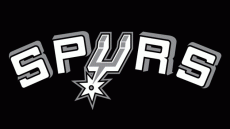 San Antonio Spurs 1990-2002 Wordmark Logo heat sticker