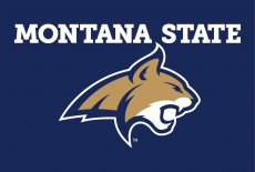 Montana State Bobcats 2013-Pres Alternate Logo 07 custom vinyl decal