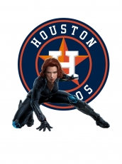 Houston Astros Black Widow Logo heat sticker