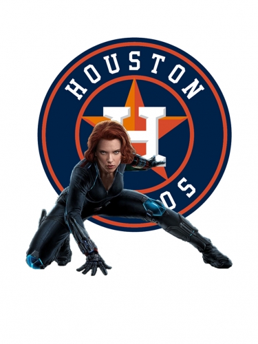 Houston Astros Black Widow Logo custom vinyl decal