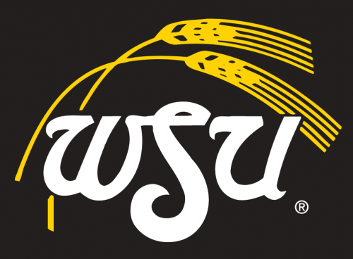 Wichita State Shockers 1980-2009 Alt on Dark Logo 01 heat sticker