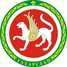 Ak Bars Kazan 2008-2018 Alternate Logo custom vinyl decal