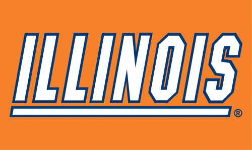 Illinois Fighting Illini 1989-2013 Wordmark Logo 03 custom vinyl decal