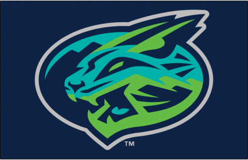 Lynchburg Hillcats 2017-Pres Cap Logo 2 heat sticker