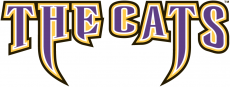 Western Carolina Catamounts 1996-2007 Wordmark Logo 02 custom vinyl decal