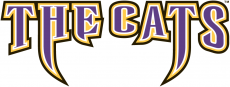 Western Carolina Catamounts 1996-2007 Wordmark Logo 02 heat sticker