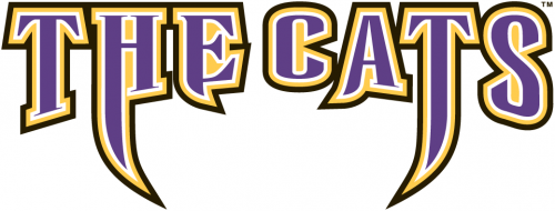 Western Carolina Catamounts 1996-2007 Wordmark Logo 02 custom vinyl decal