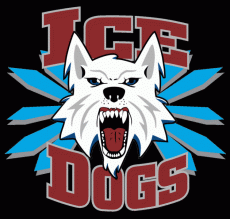Fairbanks Ice Dogs 2003 04-Pres Alternate Logo custom vinyl decal