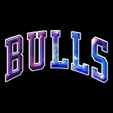 Galaxy Chicago Bulls Logo heat sticker