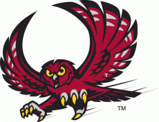 Temple Owls 1996-Pres Alternate Logo 02 heat sticker