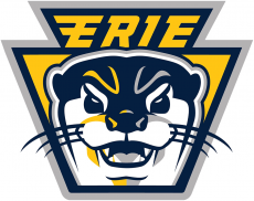 Erie Otters 2019 20-Pres Alternate Logo custom vinyl decal