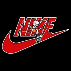 Tampa Bay Buccaneers Nike logo heat sticker