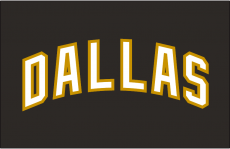 Dallas Stars 2007 08-2012 13 Jersey Logo heat sticker
