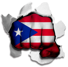 Fist Puerto Rico Flag Logo custom vinyl decal