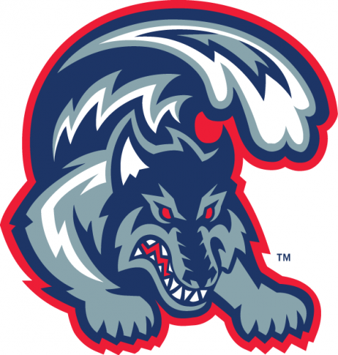 Stony Brook Seawolves 1998-2007 Alternate Logo custom vinyl decal