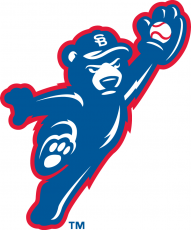 South Bend Cubs 2015-Pres Alternate Logo heat sticker