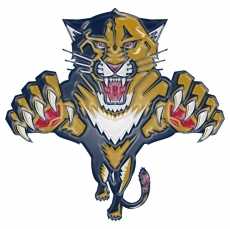 Florida Panthers Plastic Effect Logo custom vinyl decal