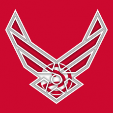 Airforce Atlanta Hawks Logo heat sticker