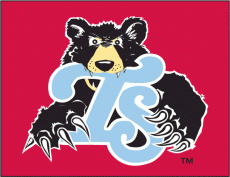 Tennessee Smokies 2010-2014 Cap Logo 2 heat sticker