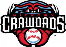 Hickory Crawdads 2016-Pres Primary Logo heat sticker
