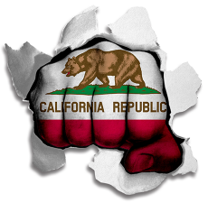 Fist California State Flag Logo custom vinyl decal