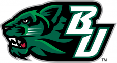 Binghamton Bearcats 2001-Pres Secondary Logo 02 heat sticker
