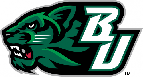 Binghamton Bearcats 2001-Pres Secondary Logo 02 custom vinyl decal