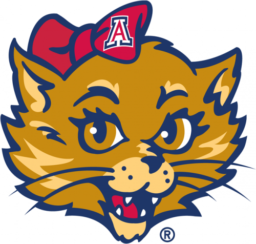 Arizona Wildcats 2003-2012 Mascot Logo 04 heat sticker