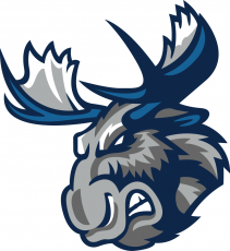 Manitoba Moose 2015 16-Pres Secondary Logo heat sticker