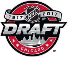 NHL Draft 2016-2017 Logo heat sticker