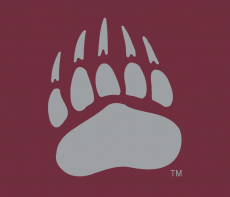 Montana Grizzlies 1996-Pres Alternate Logo 07 custom vinyl decal