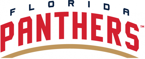 Florida Panthers 2016 17-Pres Wordmark Logo heat sticker