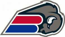 Buffalo Bills 2002 Unused Logo heat sticker