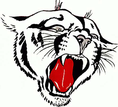 Washington State Cougars 1956-1963 Primary Logo custom vinyl decal