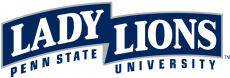 Penn State Nittany Lions 2001-2004 Wordmark Logo 01 custom vinyl decal
