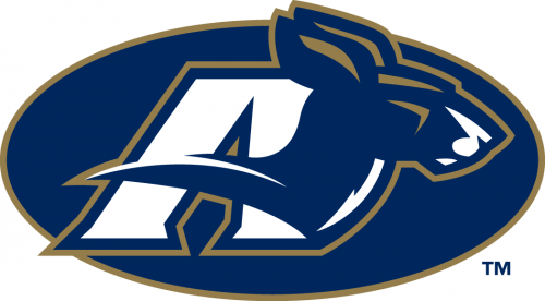 Akron Zips 2002-Pres Secondary Logo custom vinyl decal